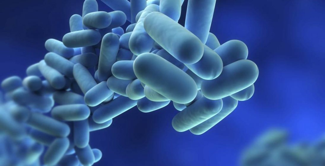 Legionellabeheer